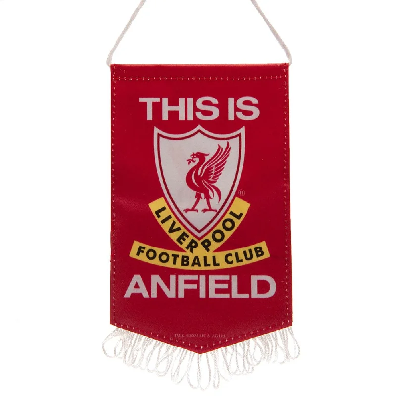 Liverpool TIA Mini Pennant