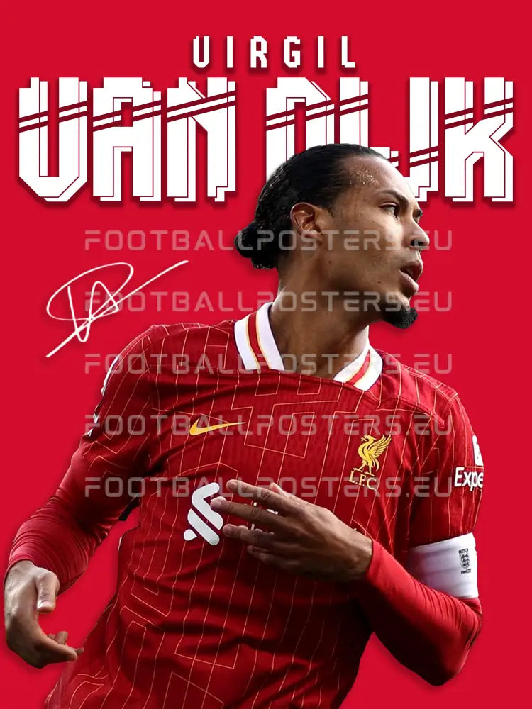 Virgil Van Dijk | Player Collection